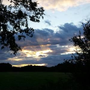 Meet your Posher, Lee ann